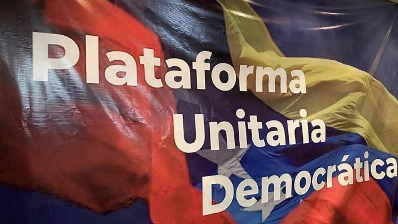 Plataforma Unitaria denuncia que convocatoria de la Asamblea Nacional ...