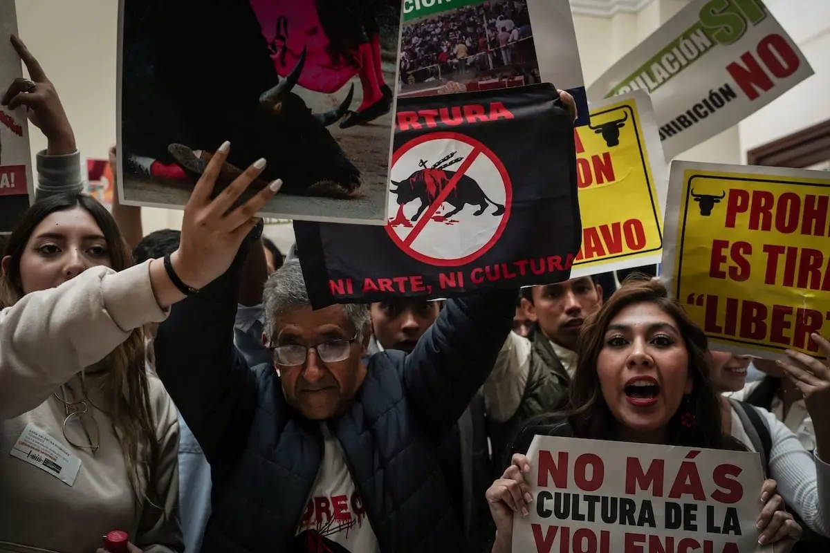 El Congreso de Colombia aprueba la prohibición de las corridas de toros ...